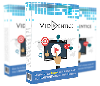 VidEntice Review