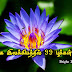 குறிஞ்சிப்பாட்டில் 99 வகையான மலர்கள்