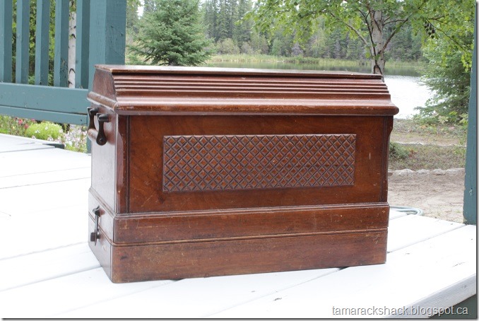 singer4