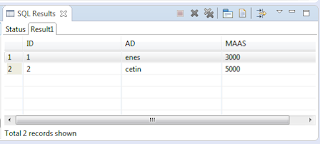 spring database namedparameterjdbctemplate