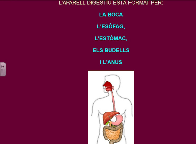 http://www.xtec.cat/ceipjpalacin/curs1011/comunitat/GEGANTS/WEB%20EL%20COS/APARELLDIGESTIU.html