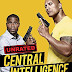 Central Intelligence (2016) UNRATED Hindi Audio Track