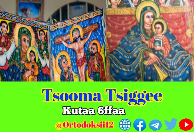 Tsooma Tsiggee | Kutaa 6ffaa