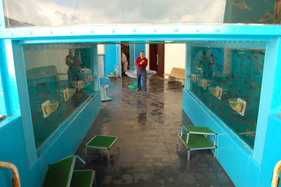 The Oita Marine Center Fish Tank (6) 2