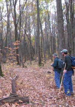 hikers in woods