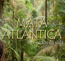 Baixar Filme Mata Atlântica e Os Ciclos da Vida (Nacional) Gratis nacional m documentario 2012 