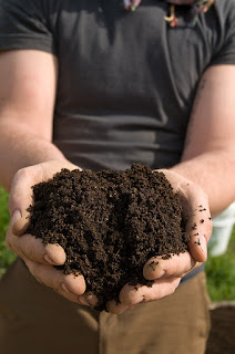 A handful of delicious compost.