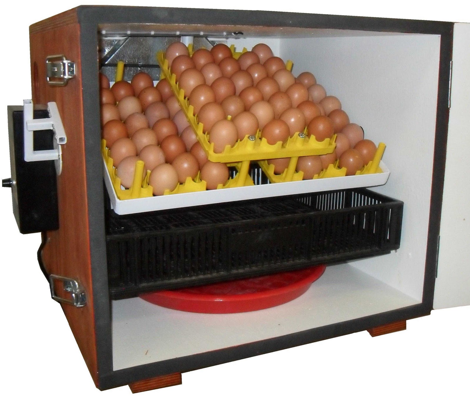 Diy Egg Incubator