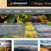 Xylino Blogger Template 