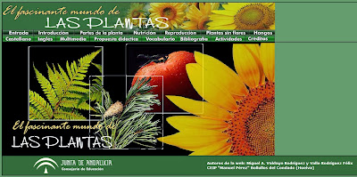 http://www.juntadeandalucia.es/averroes/manuelperez/udidacticas/plantas/castellano/entrada/entrada.htm