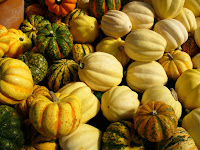 Autumn Gourds8