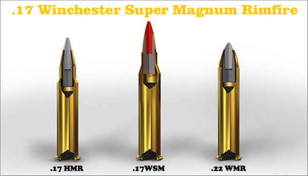 Ide 30+ 17 Super Magnum Ammunition, Gambar Gapura