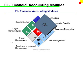 SAP Financial Accounting 