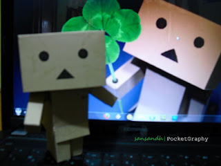 Free Download Wallpaper Danbo Terbaru 