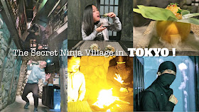 Ninja Village Japan