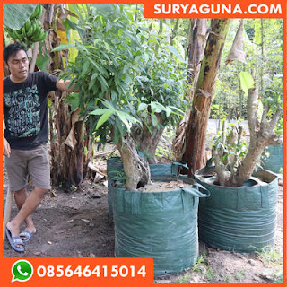 planter bag dari suryaguna 085646415014