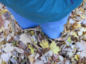 knee deep leaves