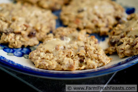 a plate with a close up of healthy gluten and refined sugar free breakfast cookies 