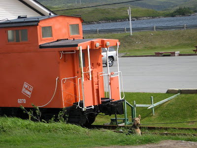 Amy at Hotel Port-aux-Basques, Newfoundland