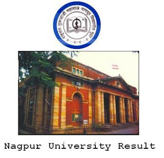 BCCA First Year Result Nagpur University