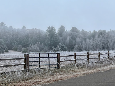 a frost-covered landscape