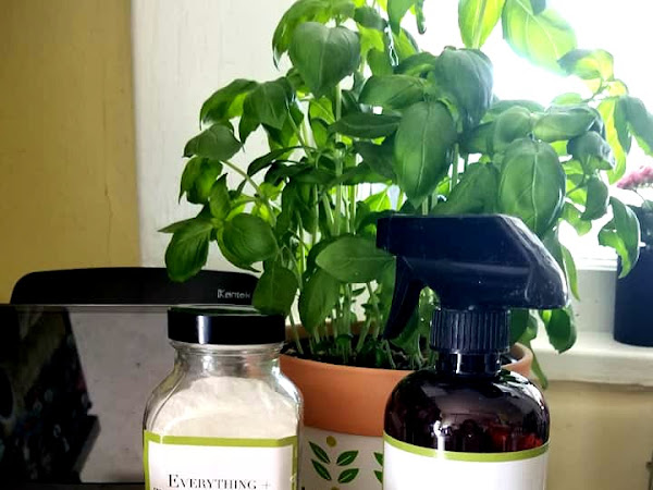 Change Up Your Spring Cleaning Game with Red's Gone Green Products #MBPSpring19
