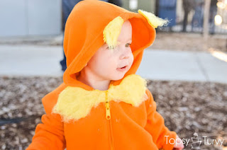 costume.lorax