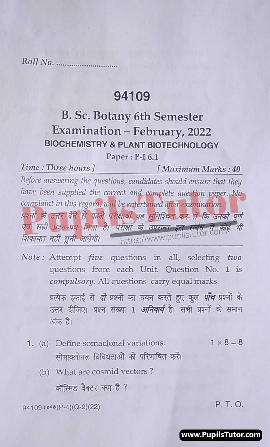 MDU (Maharshi Dayanand University, Rohtak Haryana) BSc Botany Latest Scheme Exam Sixth Semester Previous Year Biochemistry And Plant Biotechnology Question Paper For February, 2022 Exam (Question Paper Page 1) - pupilstutor.com