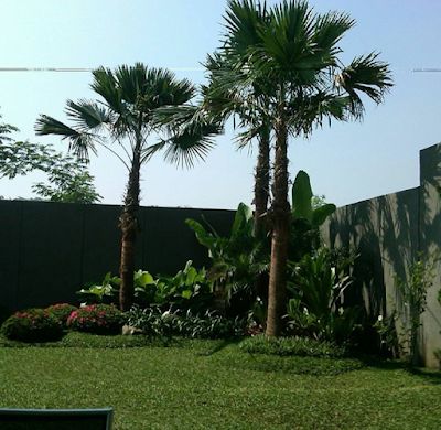 garden style - tukang taman