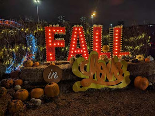 Fall In Love At Scarborough Town Centre Pumpkinville.