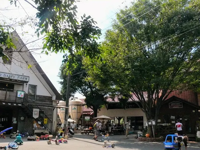 荒川自転車道　榎本牧場