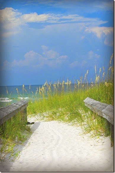 beach