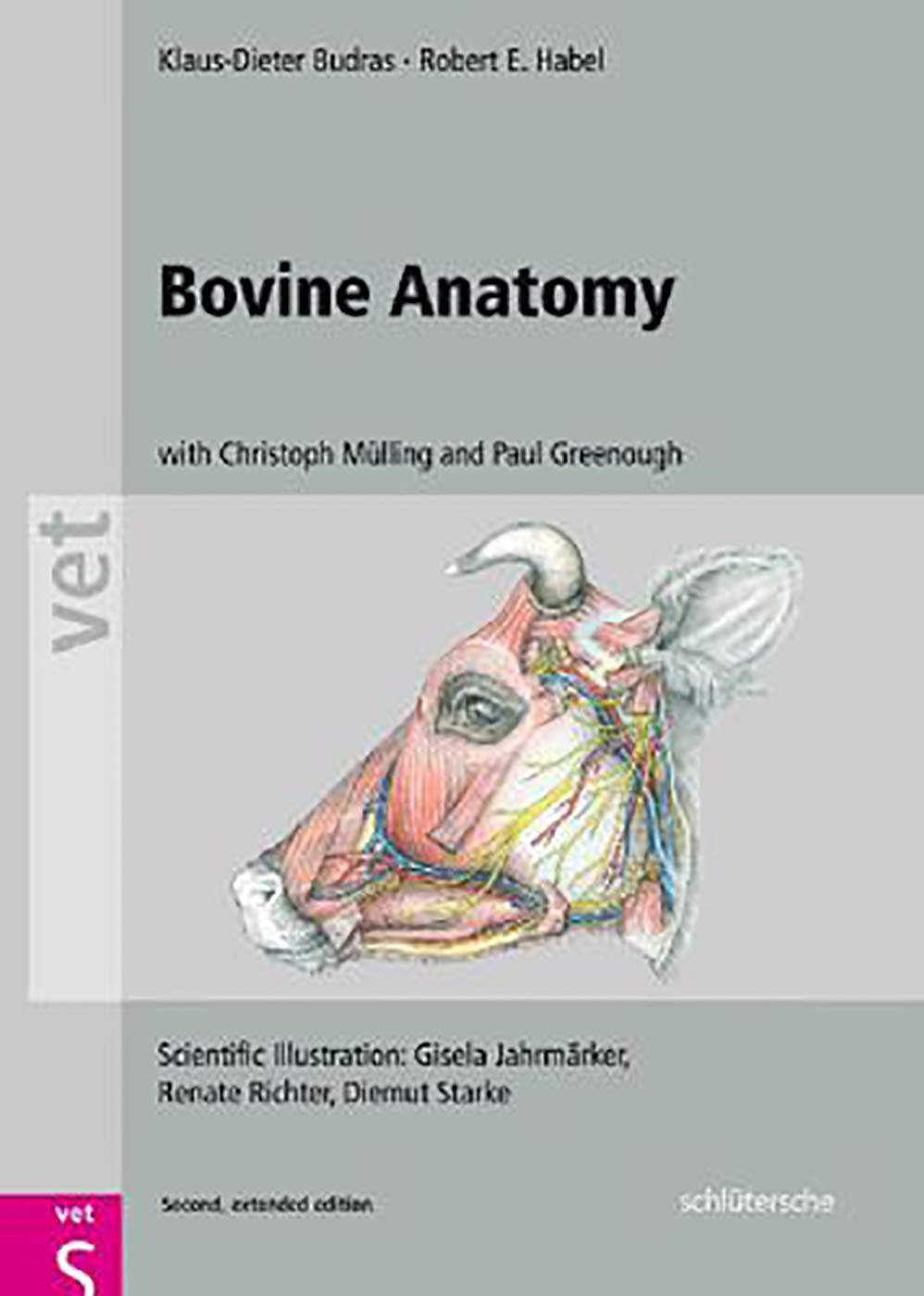 Anatomy Books
