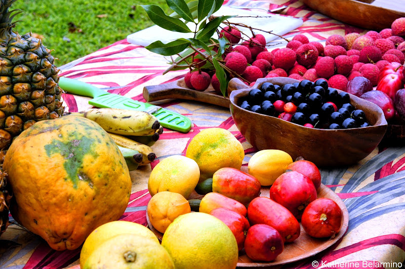 Tasting Kauai Food Tour Hawaii