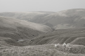 Llyn Y Fan Fach walk