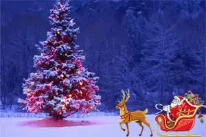 Christmas tree – its importance and role