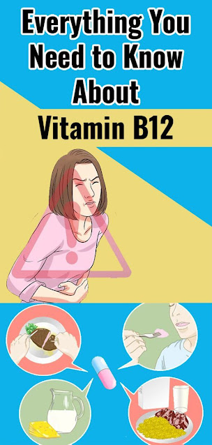 Everything You Need To Know About Vitamin B12