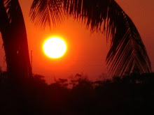 The Sun Sets Over The Intercoastal
