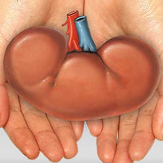 Some Things Money Can't Buy.| Why You Can’t Sell a Kidney