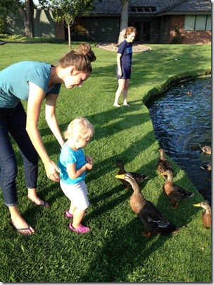 Feeding the ducks
