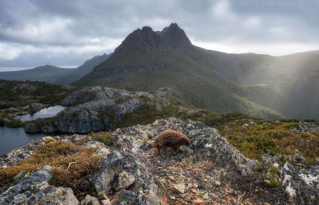 Du Lịch Australia