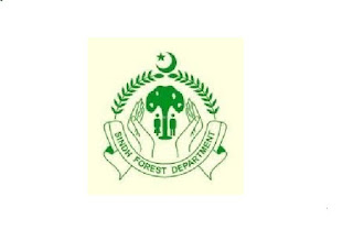 Latest Forest & Wildlife Department Management Posts Karachi 2022