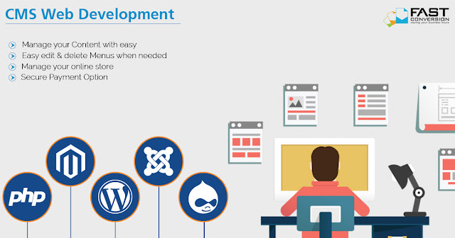  CMS Web Development Service