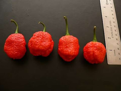 Cabe Trinidad Moruga Scorpion