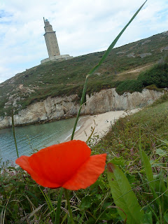 Flower and Tower   Sprint in Tower of Hercules (Corunna, Spain)   by E.V.Pita   http://evpita.blogspot.com/2011/05/flower-and-tower-flores-torre-de.html   Flores + Torre de Hércules  (Primavera en Torre de Hércules, A Coruña)  por E.V.Pita