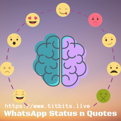 WhatsApp Status | WhatsApp Stutus