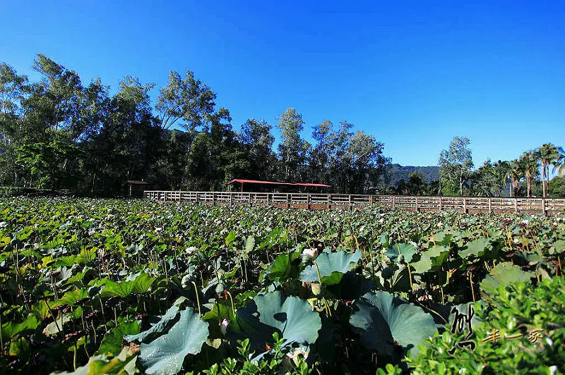 台灣島原住民部落屋-蓮花池｜泰雅渡假村花卉部落建築