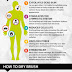 Dry Skin Brushing Benefits & Tips