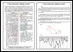 NUEVO diptico2011_Página_2