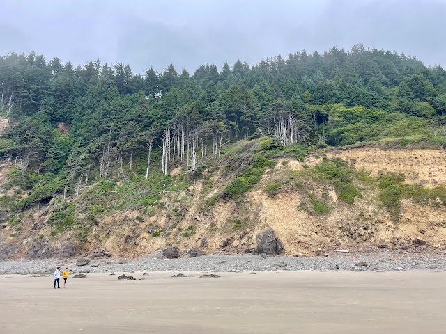 You and Margie walking down the beach together. You are far away. The coast behind you both is made of tall rocks and evergreen trees.